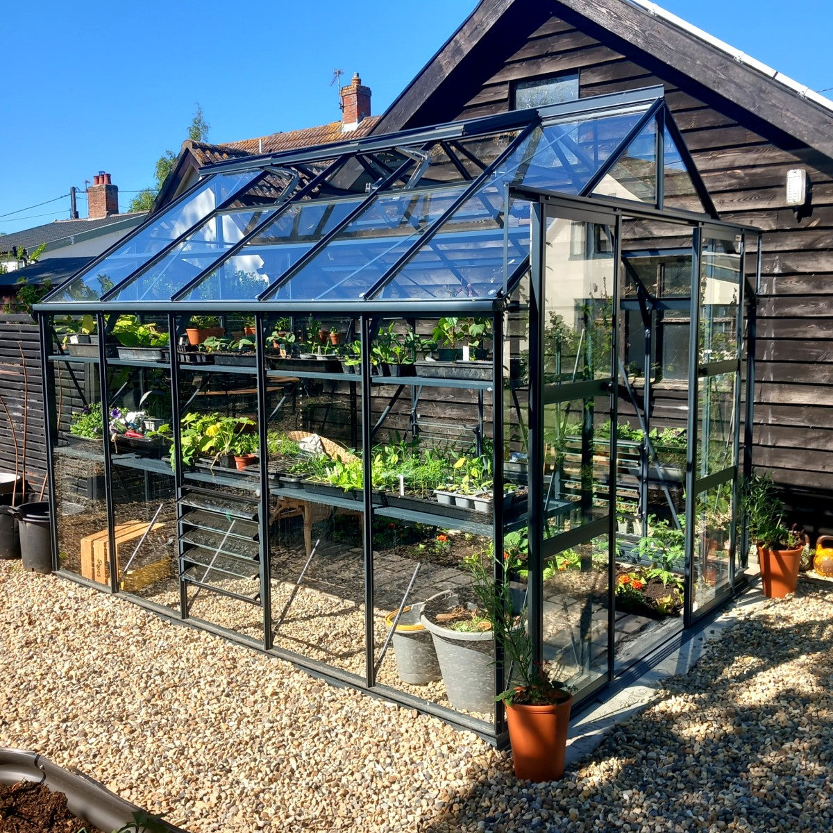 A glass Rhino Greenhouse contains various plants on shelves, situated beside a wooden structure in a sunlit garden with gravel ground.