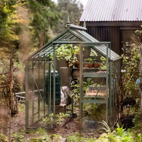 A glass Rhino Greenhouse stands amidst a lush garden, filled with green plants on shelves. It adjoins a dark wooden structure, surrounded by trees and foliage, creating a serene setting.