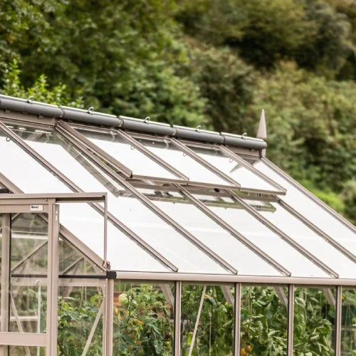 A Rhino Greenhouse with glass panels, showing an open window vent, stands amidst lush greenery.