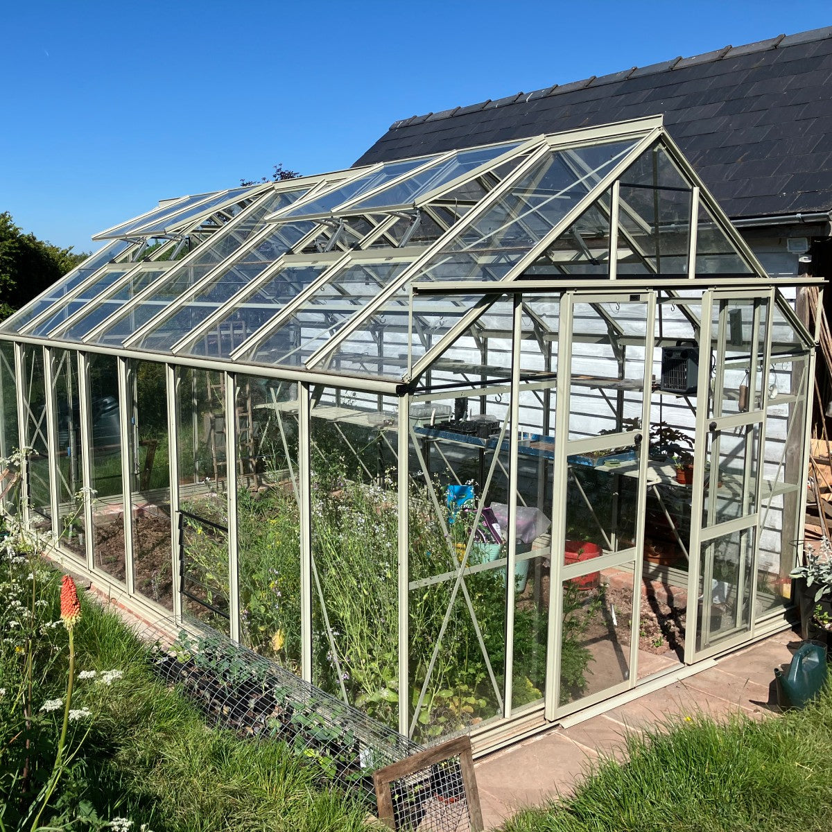 Rhino Greenhouse with glass panels housing various plants, standing on a paved area beside a residential building under clear blue sky. Grass and garden tools are visible nearby.