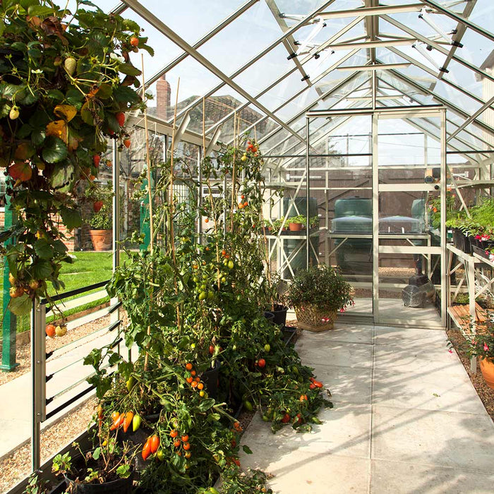 Fresh crops growing inside a Rhino Premium greenhouse